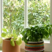 Beautiful colorful round basket